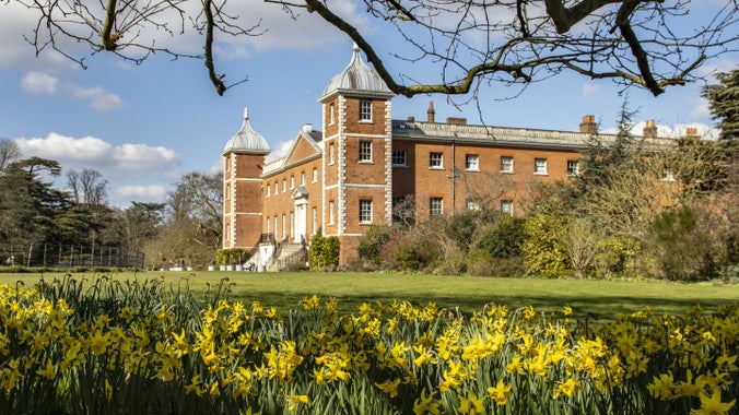 Osterley House with yellow daffodils in the foreground